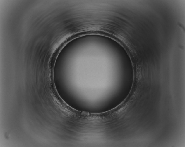X0000101991118200807181141