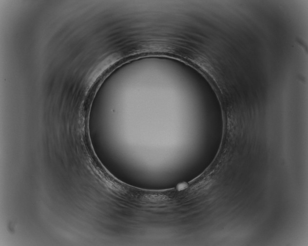 X0000101991119200807181141