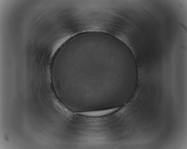 X0000101991120200807181141