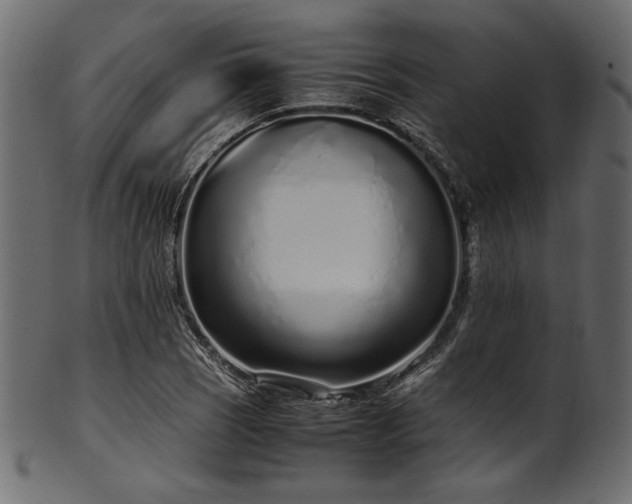 X0000101991121200807181141