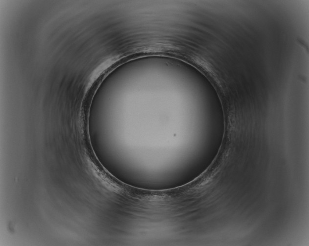 X0000101991122200807181141