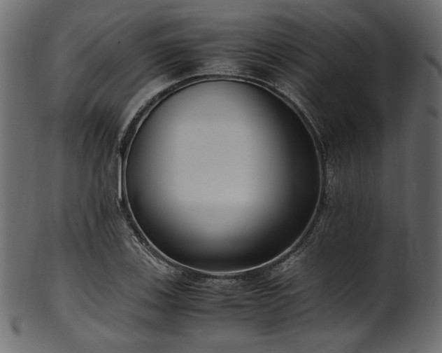 X0000101991123200807181141