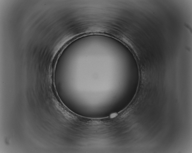 X0000101991124200807181142