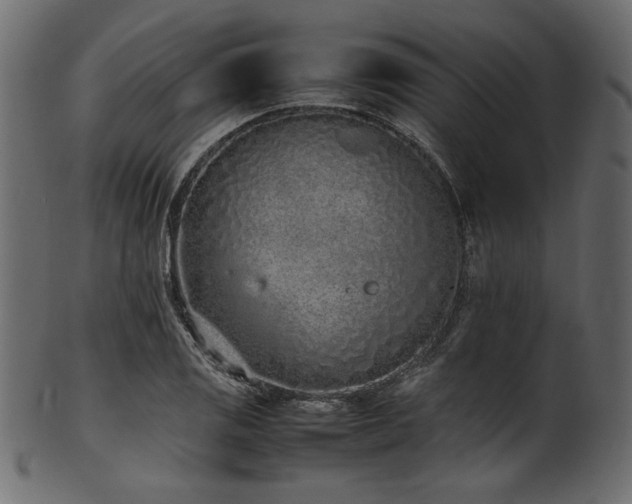 X0000101991125200807181142