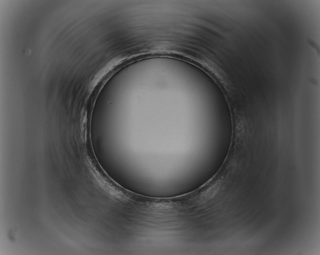 X0000101991126200807181142
