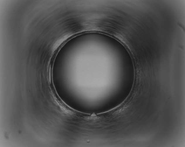 X0000101991127200807181142