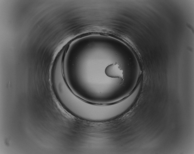 X0000101991128200807181142