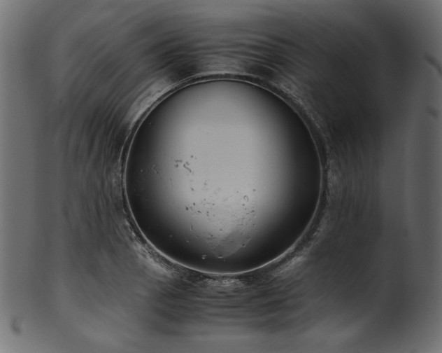 X0000101991129200807181142