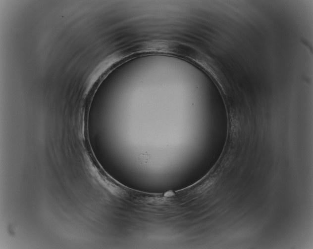X0000101991131200807181142