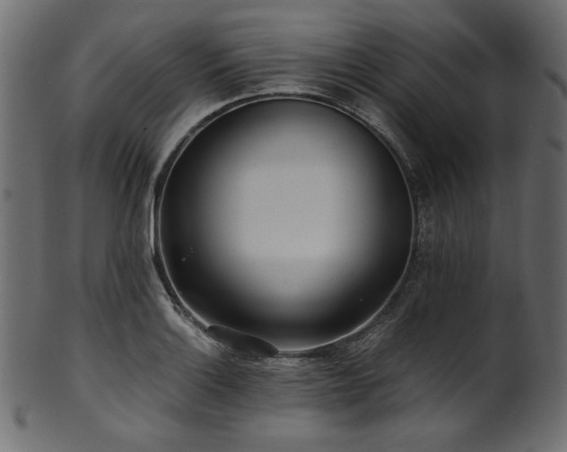 X0000101991132200807181142