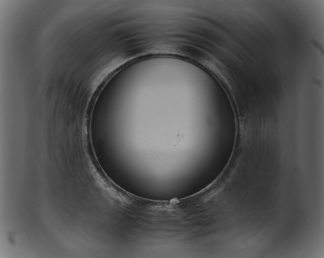 X0000101991133200807181142