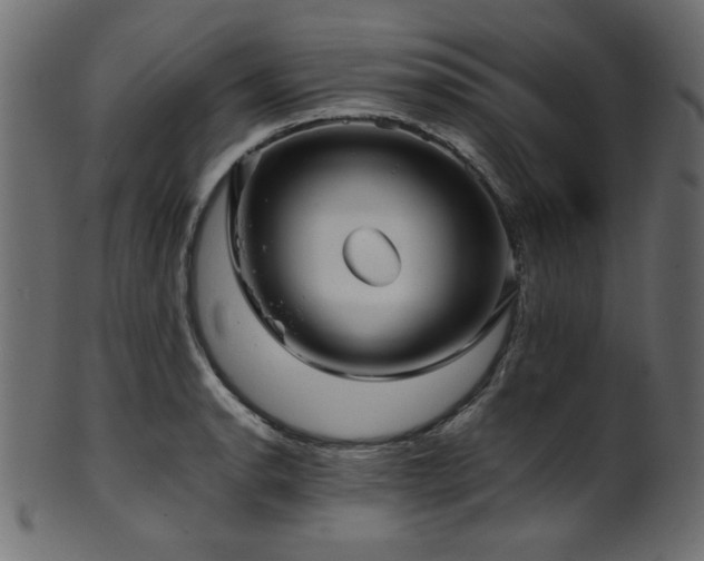 X0000101991134200807181142