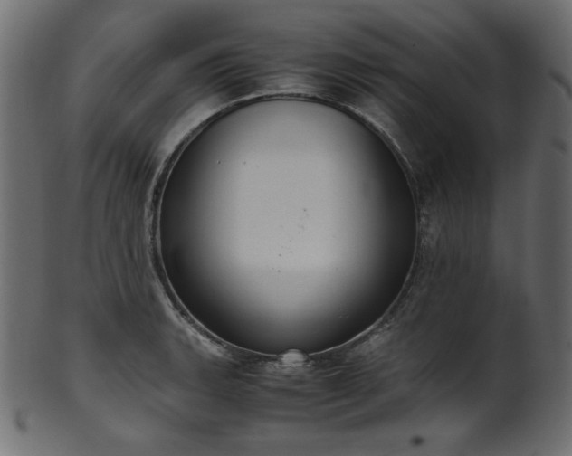 X0000101991135200807181142