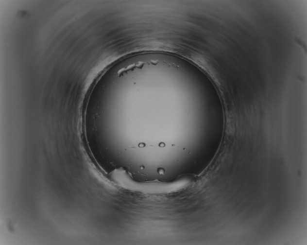 X0000101991136200807181142