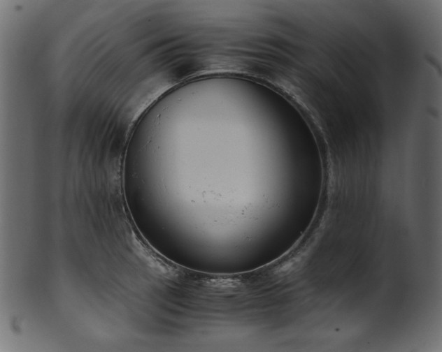 X0000101991137200807181142