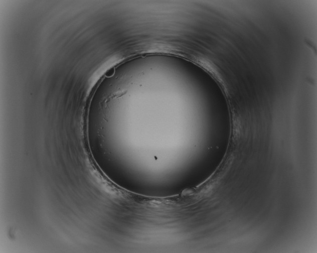 X0000101991138200807181142