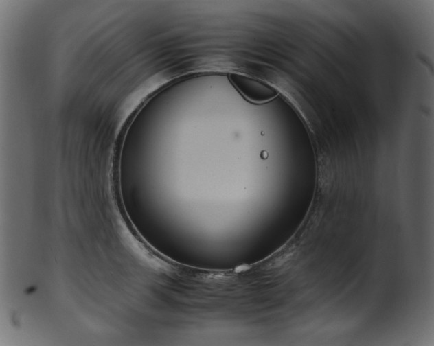 X0000101991139200807181142