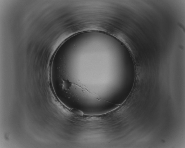 X0000101991140200807181142