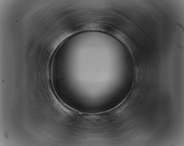 X0000101991141200807181142