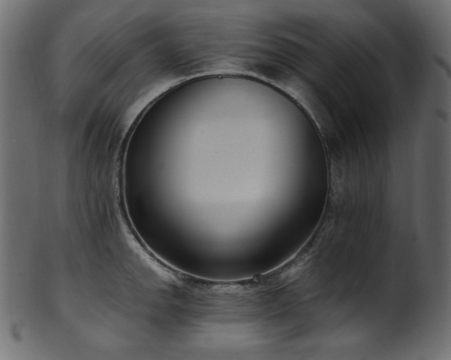 X0000101991142200807181142