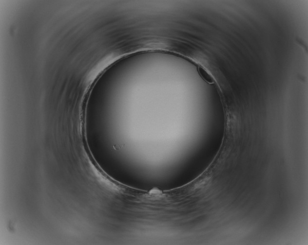 X0000101991143200807181142