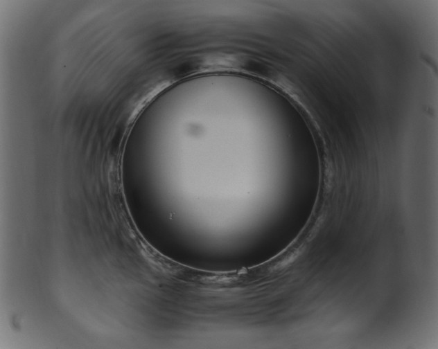 X0000101991145200807181142