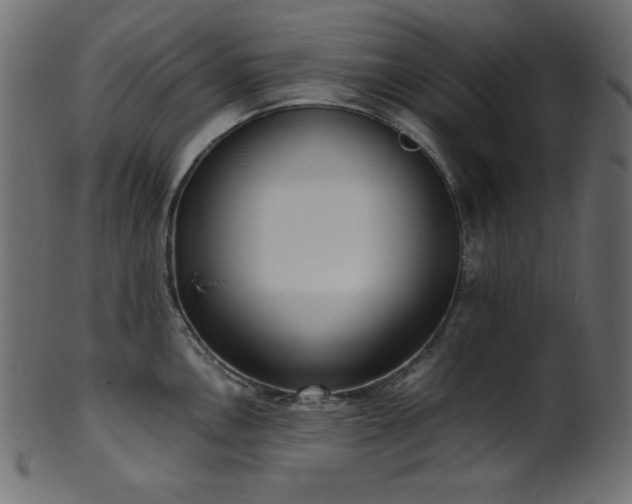 X0000101991146200807181142