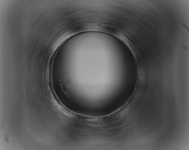 X0000101991147200807181142