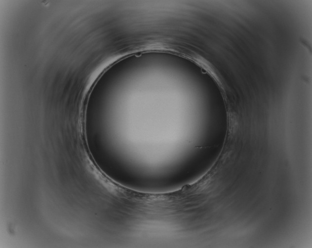 X0000101991148200807181142