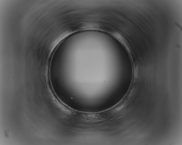 X0000101991149200807181142