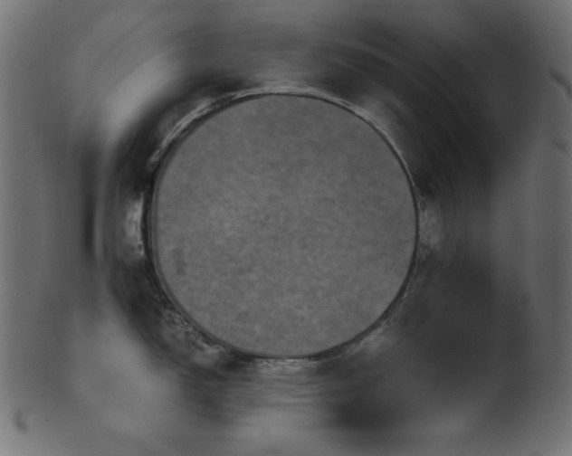 X0000101991150200807181142