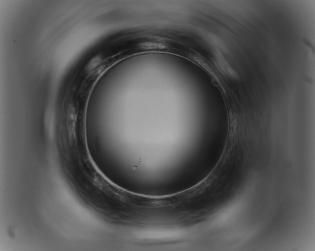 X0000101991151200807181142