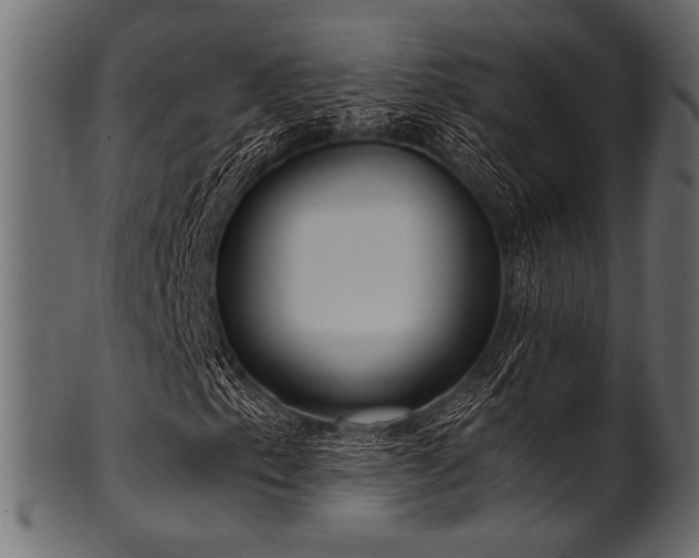 X0000101991153200807181141