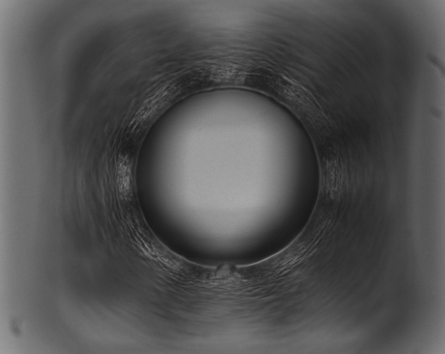 X0000101991154200807181141