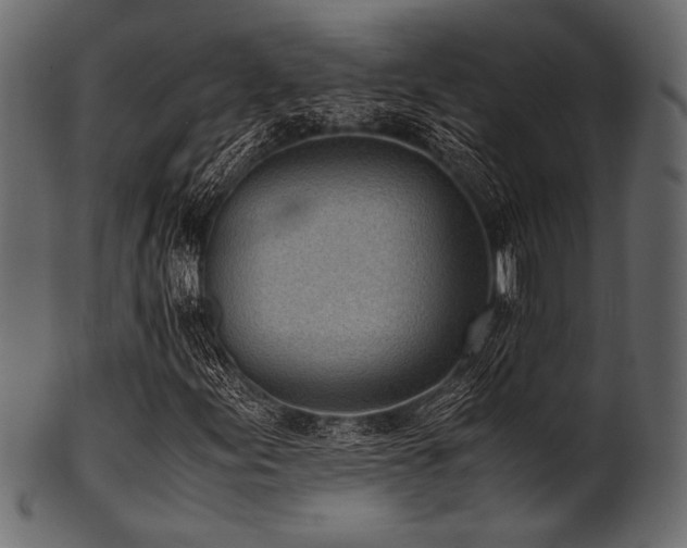 X0000101991155200807181141