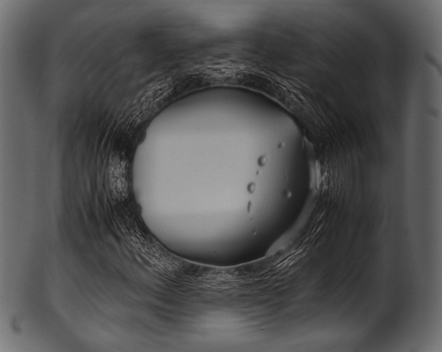 X0000101991156200807181141