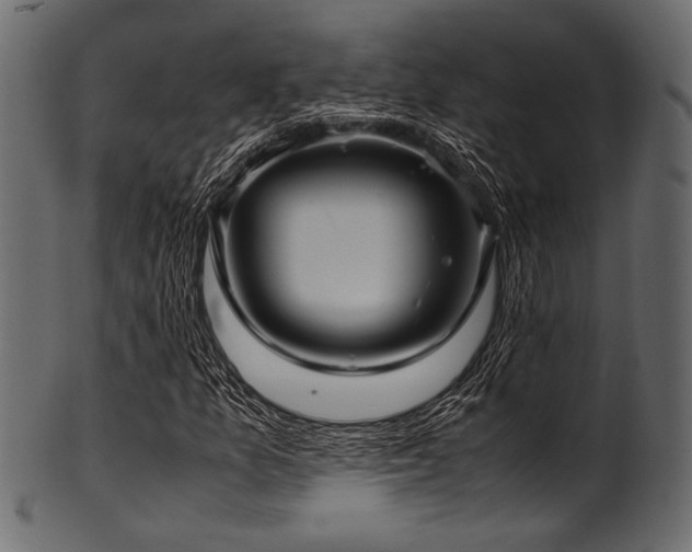 X0000101991157200807181141