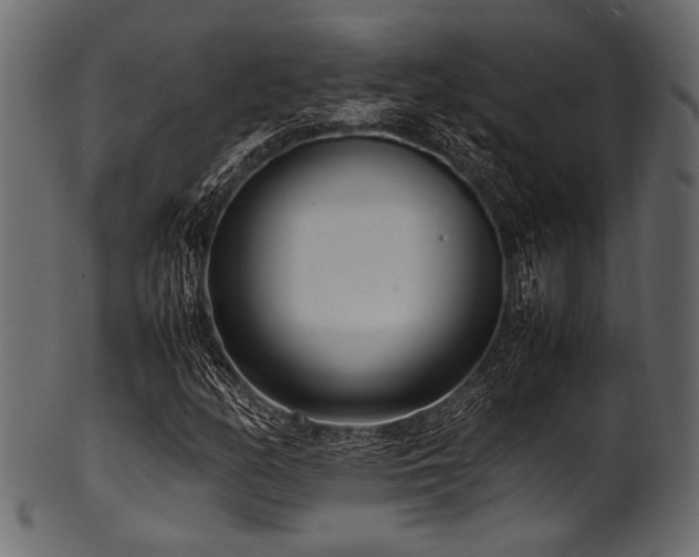 X0000101991158200807181141