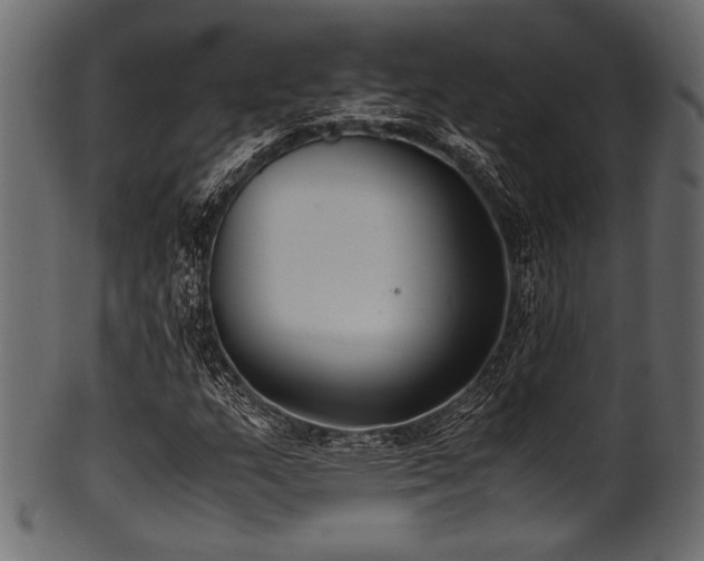 X0000101991159200807181141