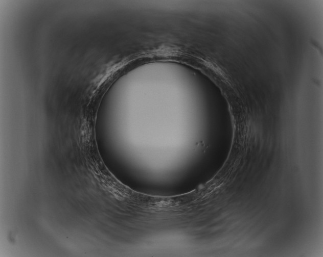 X0000101991160200807181141