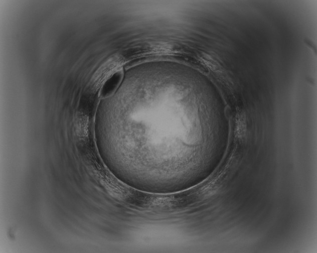 X0000101991161200807181141