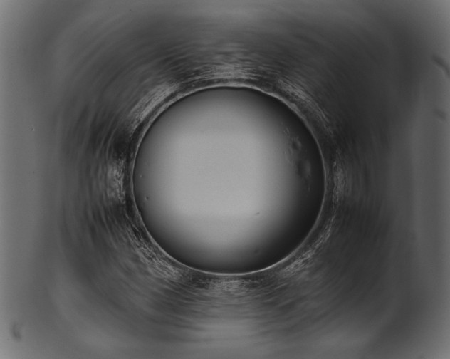 X0000101991162200807181141
