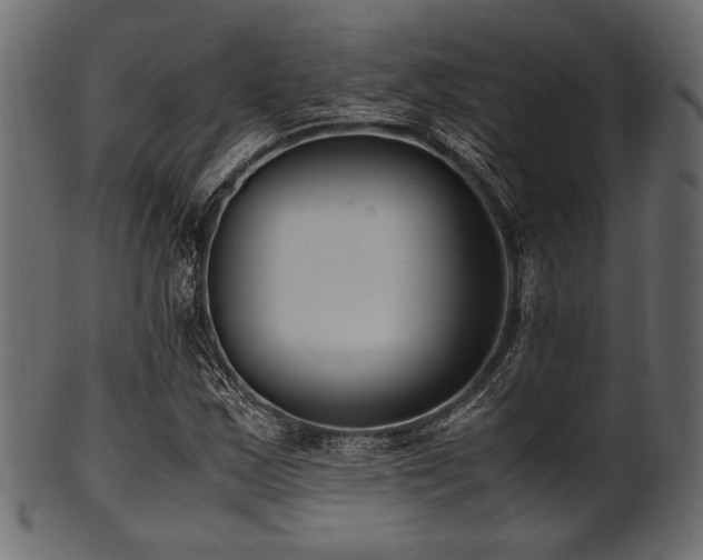 X0000101991163200807181141
