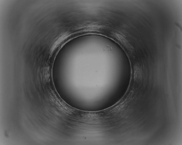 X0000101991164200807181141