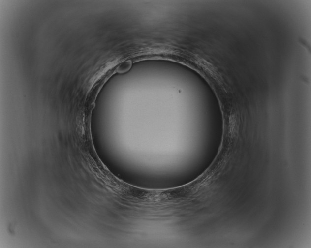 X0000101991165200807181141