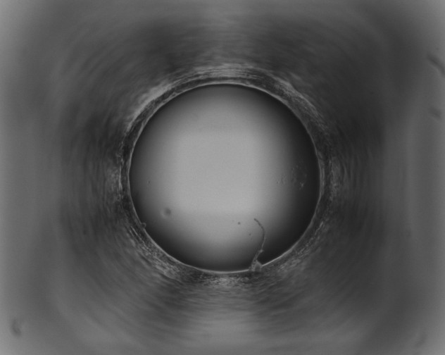 X0000101991166200807181141