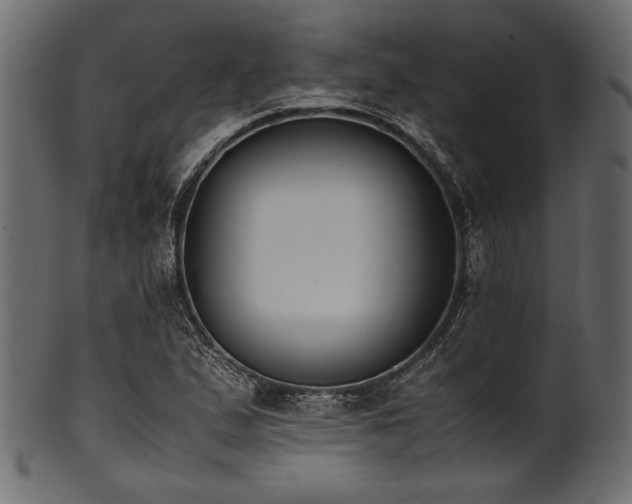 X0000101991167200807181141