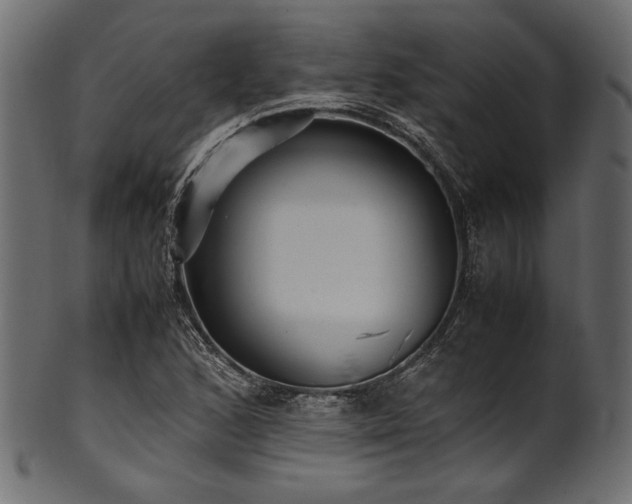 X0000101991168200807181141