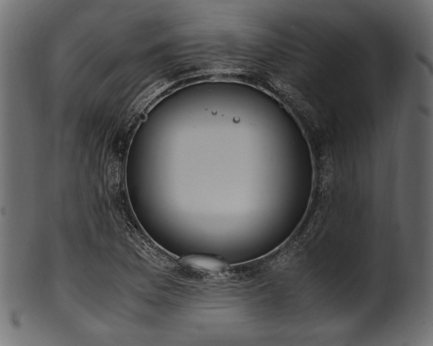 X0000101991169200807181141