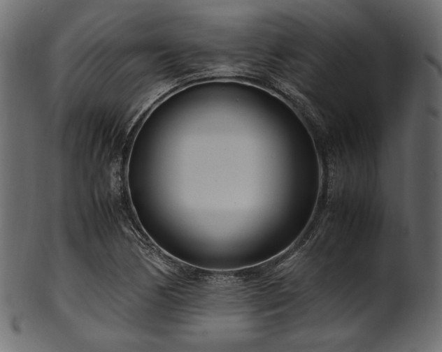 X0000101991170200807181141
